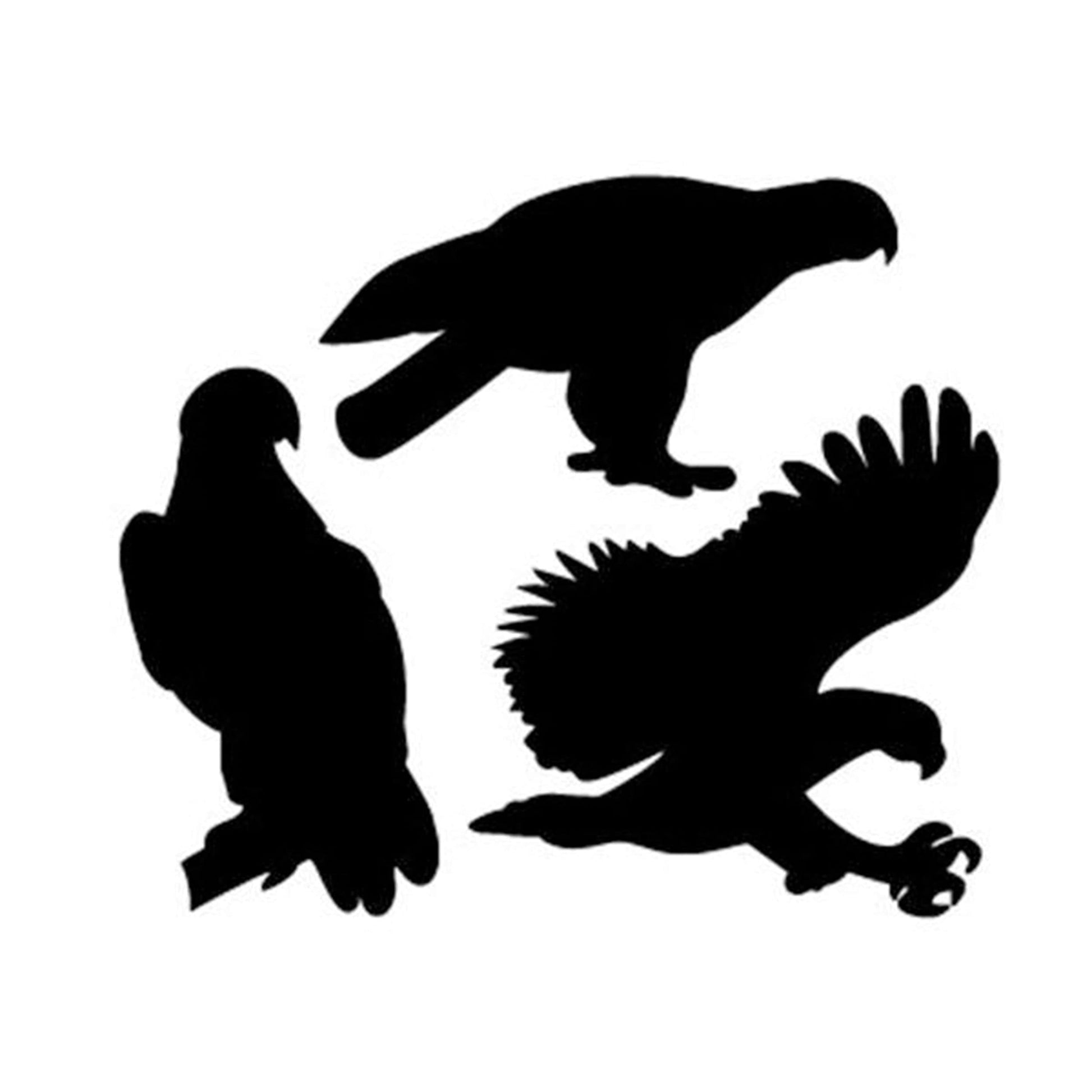 Woodworking Project Paper Plan to Build Eagle Pack of Shadow alt 0