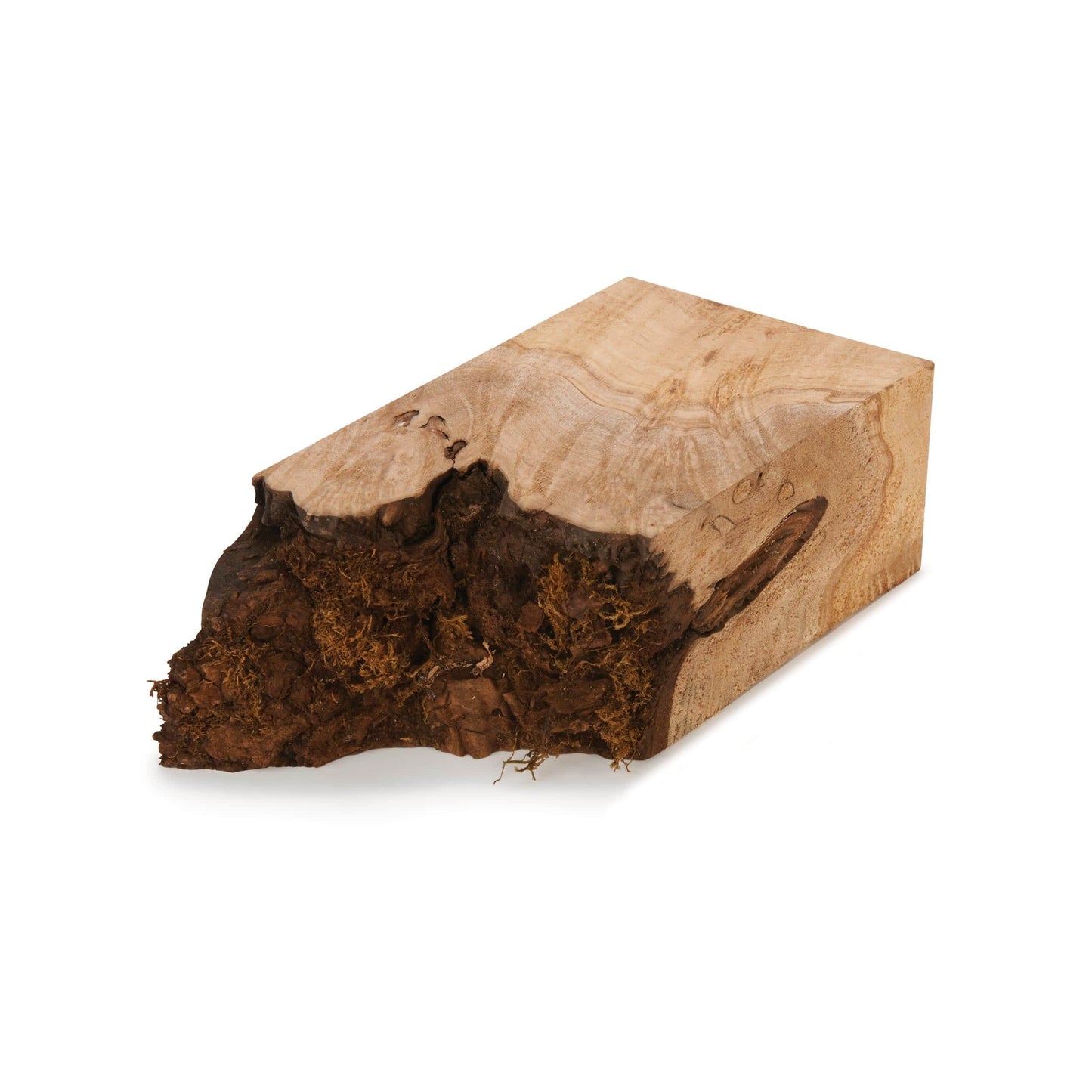 Maple Burl Big Leaf 2.5x4x4 alt 0
