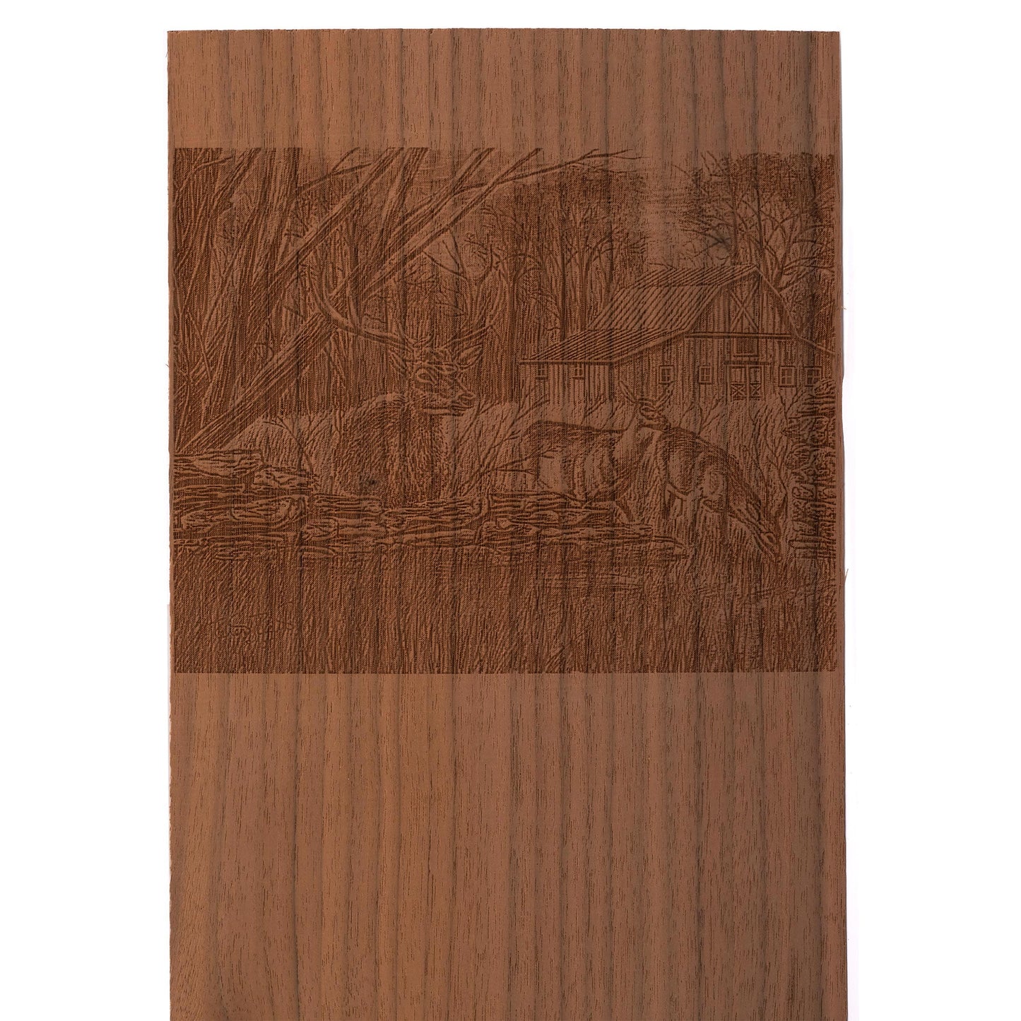Walnut VNR 1/16in 3sqft alt 4