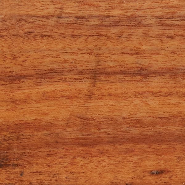Rosewood Patagonia 6" x 6" x 3" alt 1