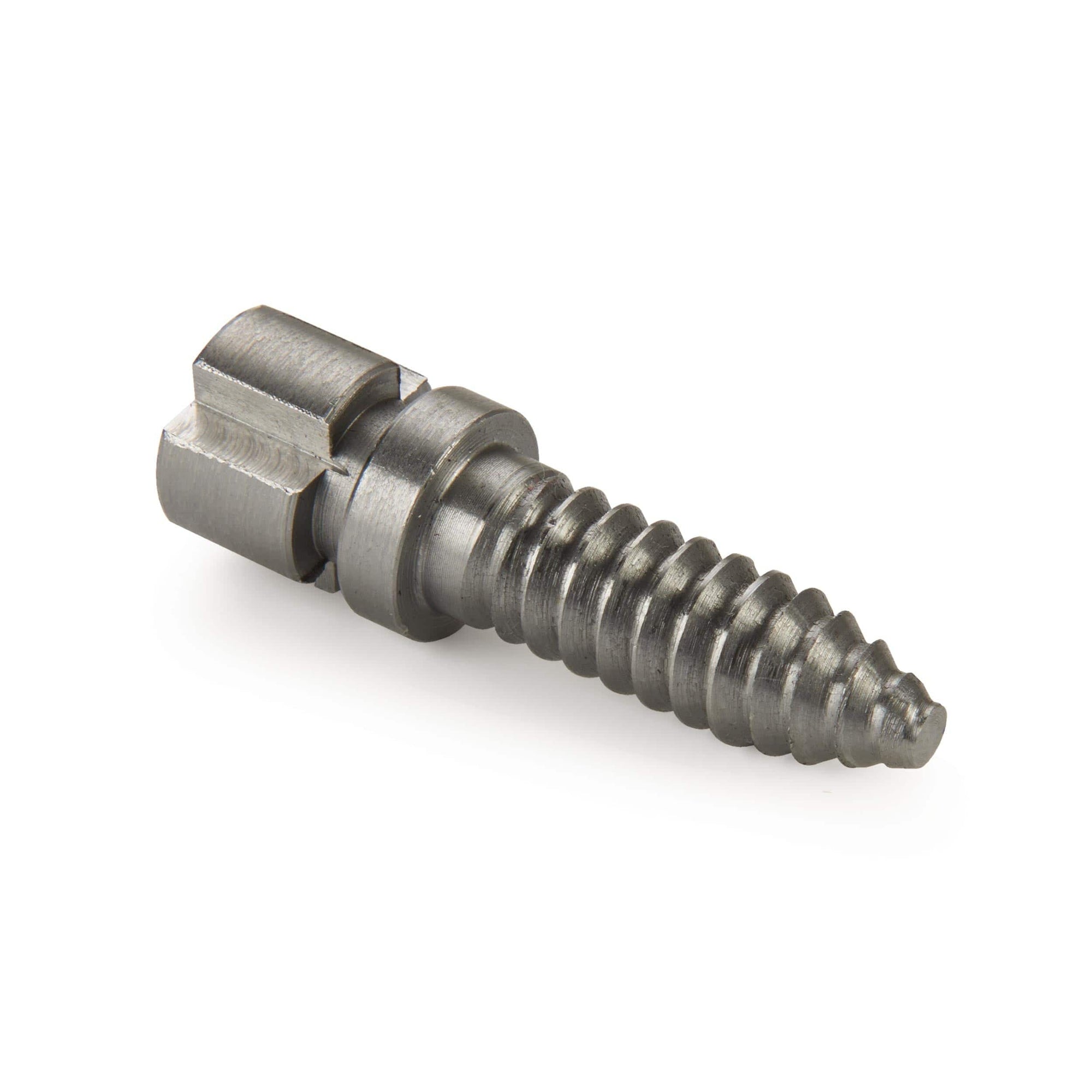 Woodworm Screw alt 0