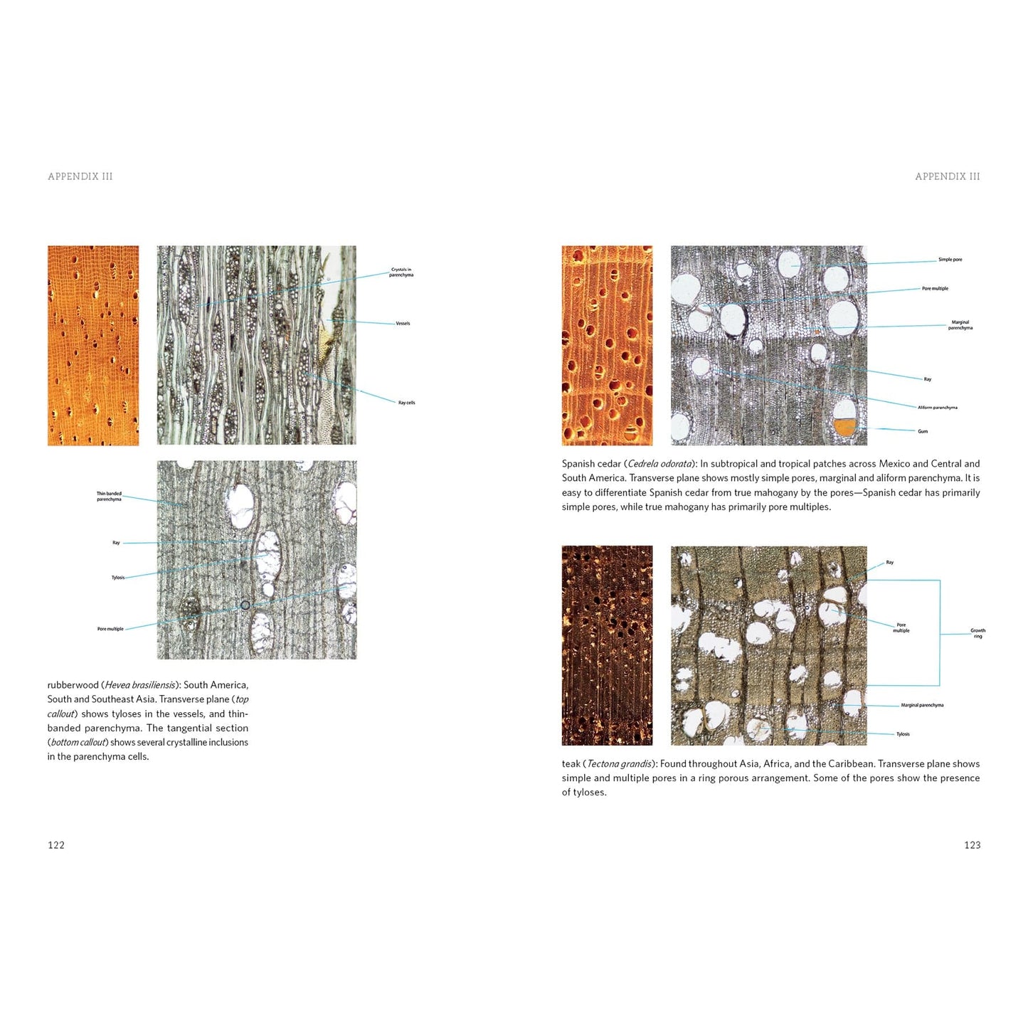 Living with Wood alt 0