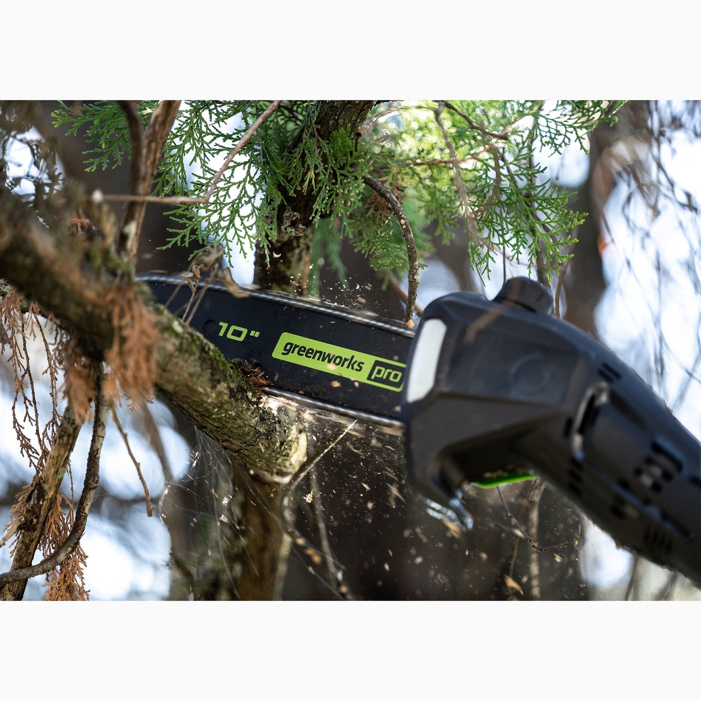 Gen II 10" Brushless Polesaw with 2.0Ah Battery and 4A Rapid Charger alt 0