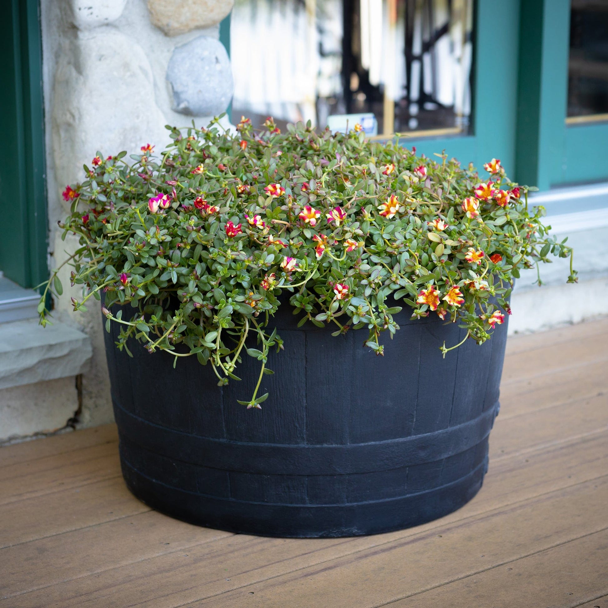 Polyethylene Whiskey Barrel Planter Black  2 Pack alt 0