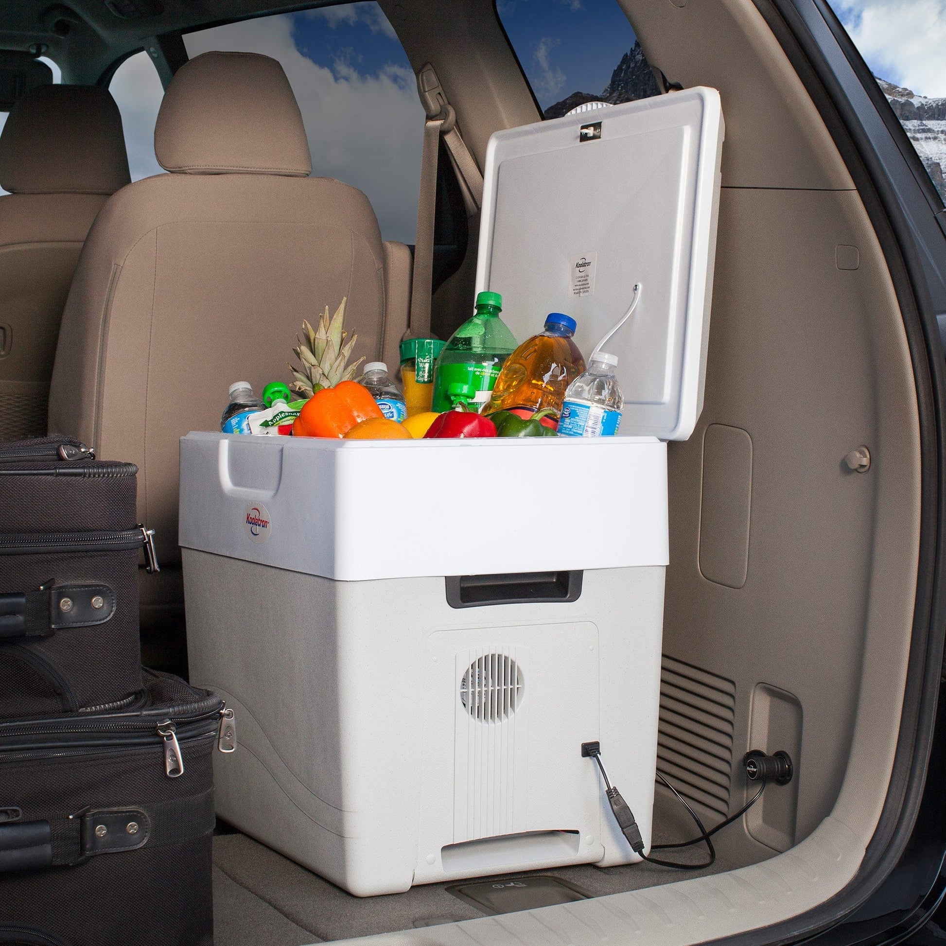 Krusader Cooler/Warmer/Mini Fridge 12V alt 0