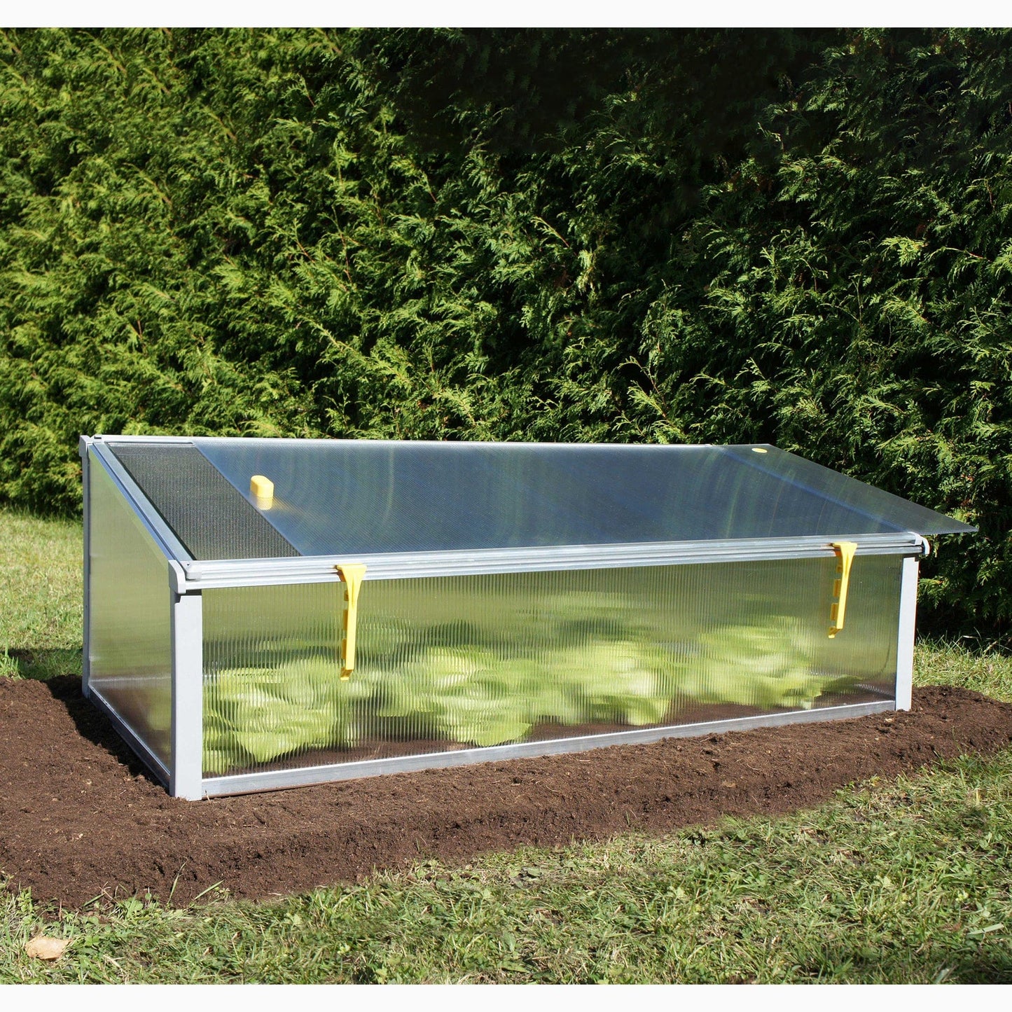 Year-Round Cold-Frame alt 0