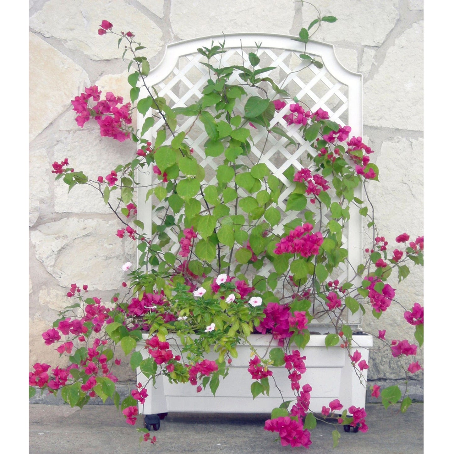Calypso Planter Trellis White alt 0
