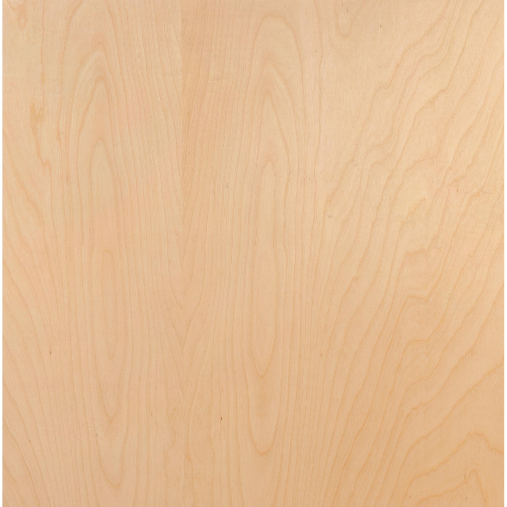 1/4" x 24" x 24" American Birch Plywood alt 0