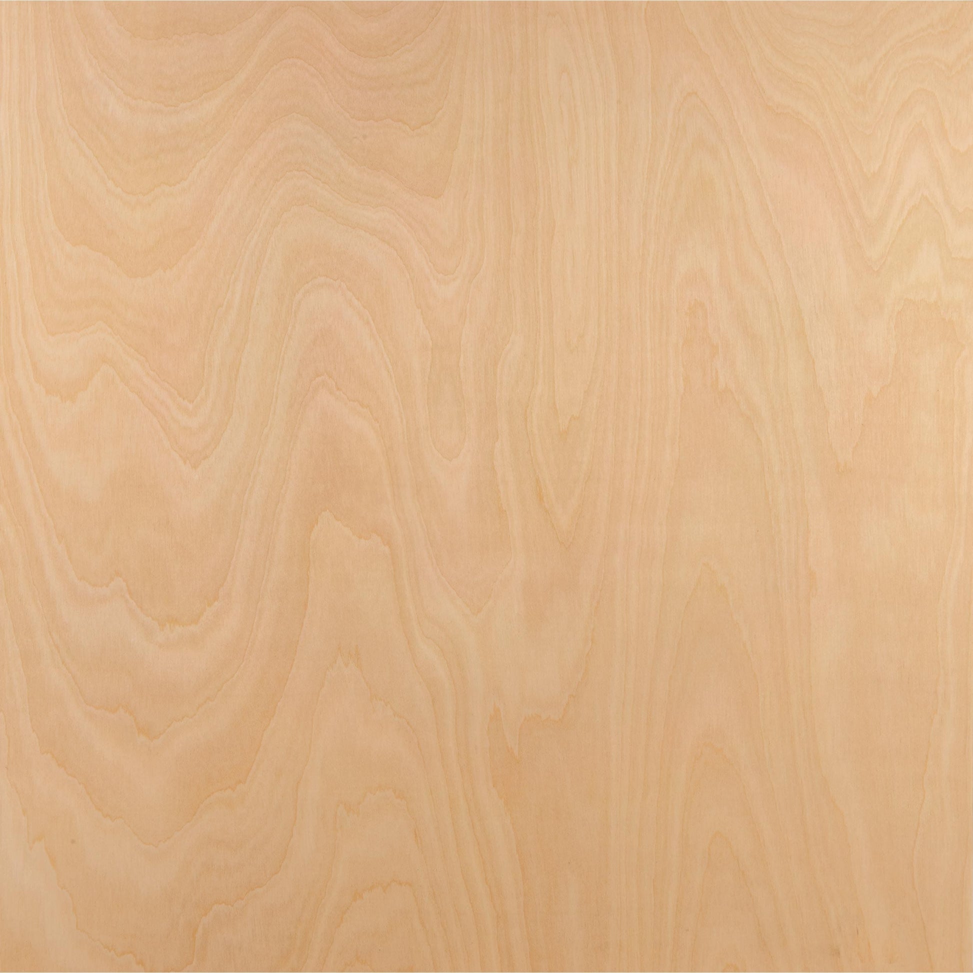 3/4" x 24" x 24" American Birch Plywood alt 0