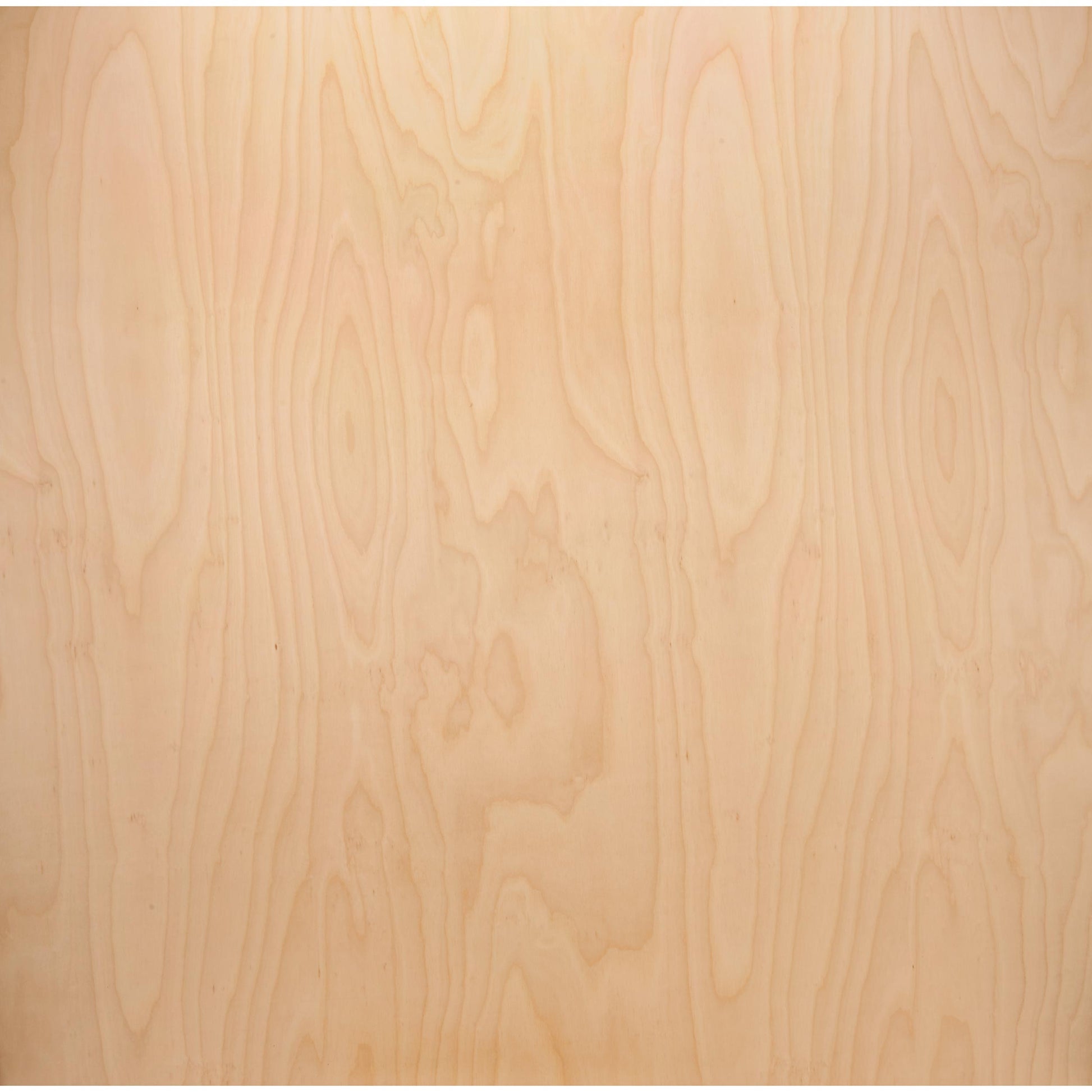 3/4" x 48" x 48" American Birch Plywood alt 0