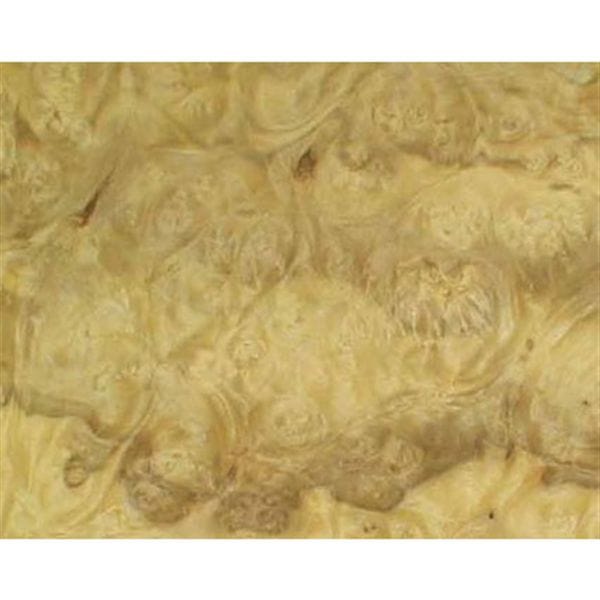 Ash Burl VNR OLV 4x8 10mil alt 0