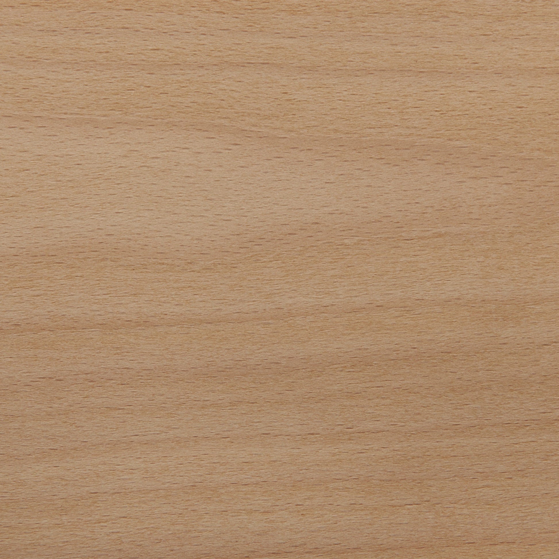 Beech VNR FC 4x8 10mil alt 0