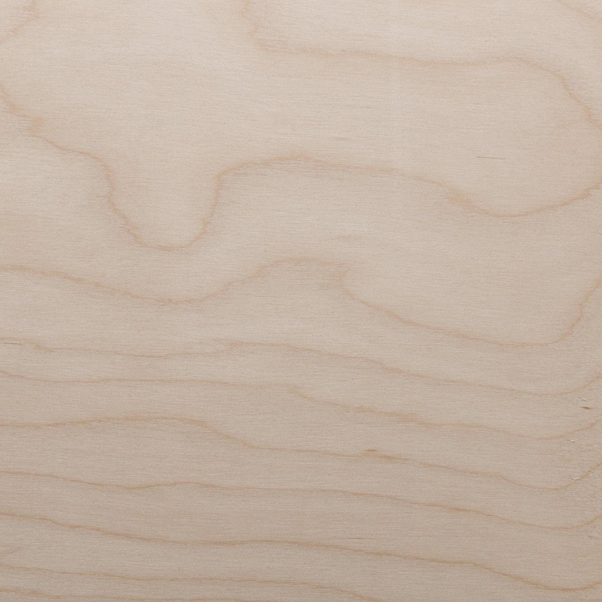 Birch Wht VNR RC 4x8 10mil alt 0