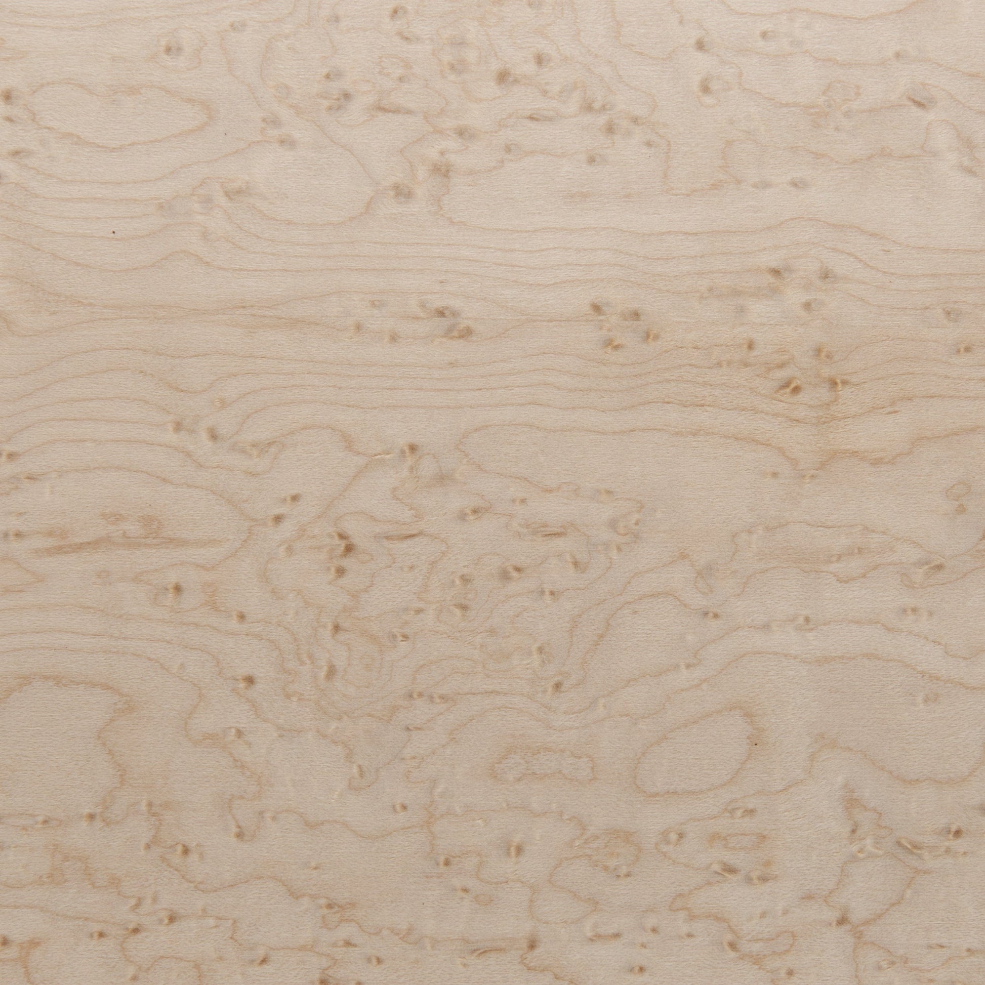 Maple Beye Hvy VNR 4x8 10mil alt 0