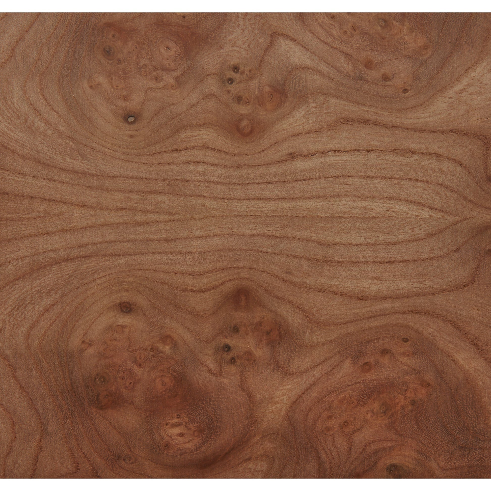Elm Burl VNR 4x8 10mil alt 0