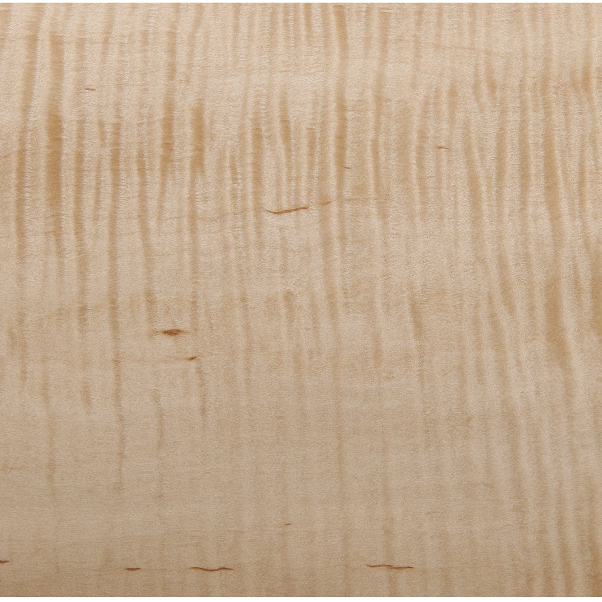 Maple Fig Hcurl VNR 4x8 10mil alt 0