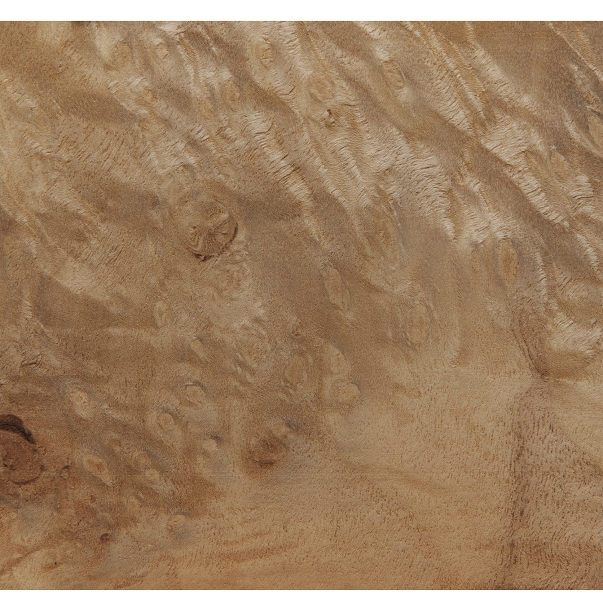 Myrtle Burl VNR 4x8 10mil alt 0
