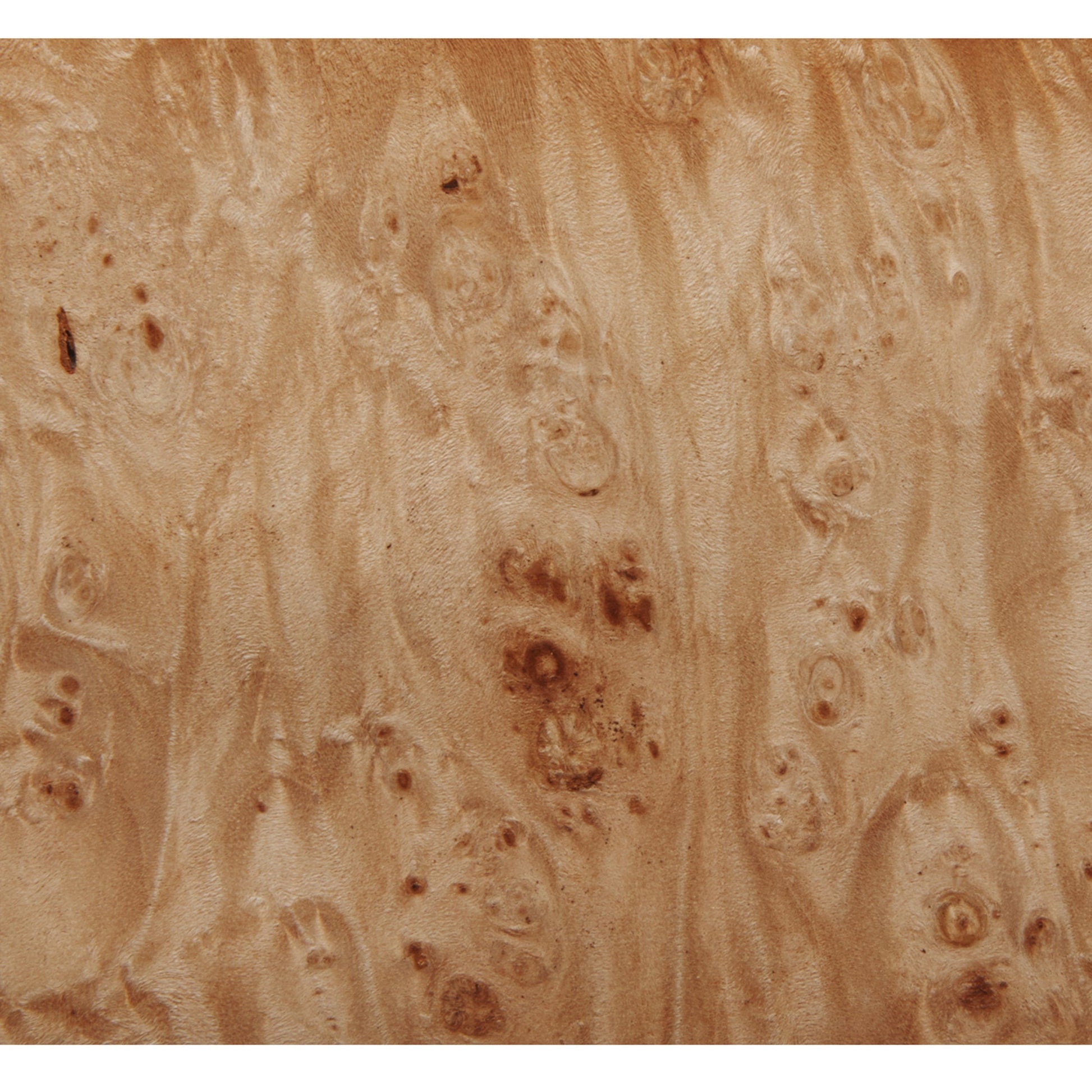 Maple Burl VNR 4x8 3M PSA alt 0