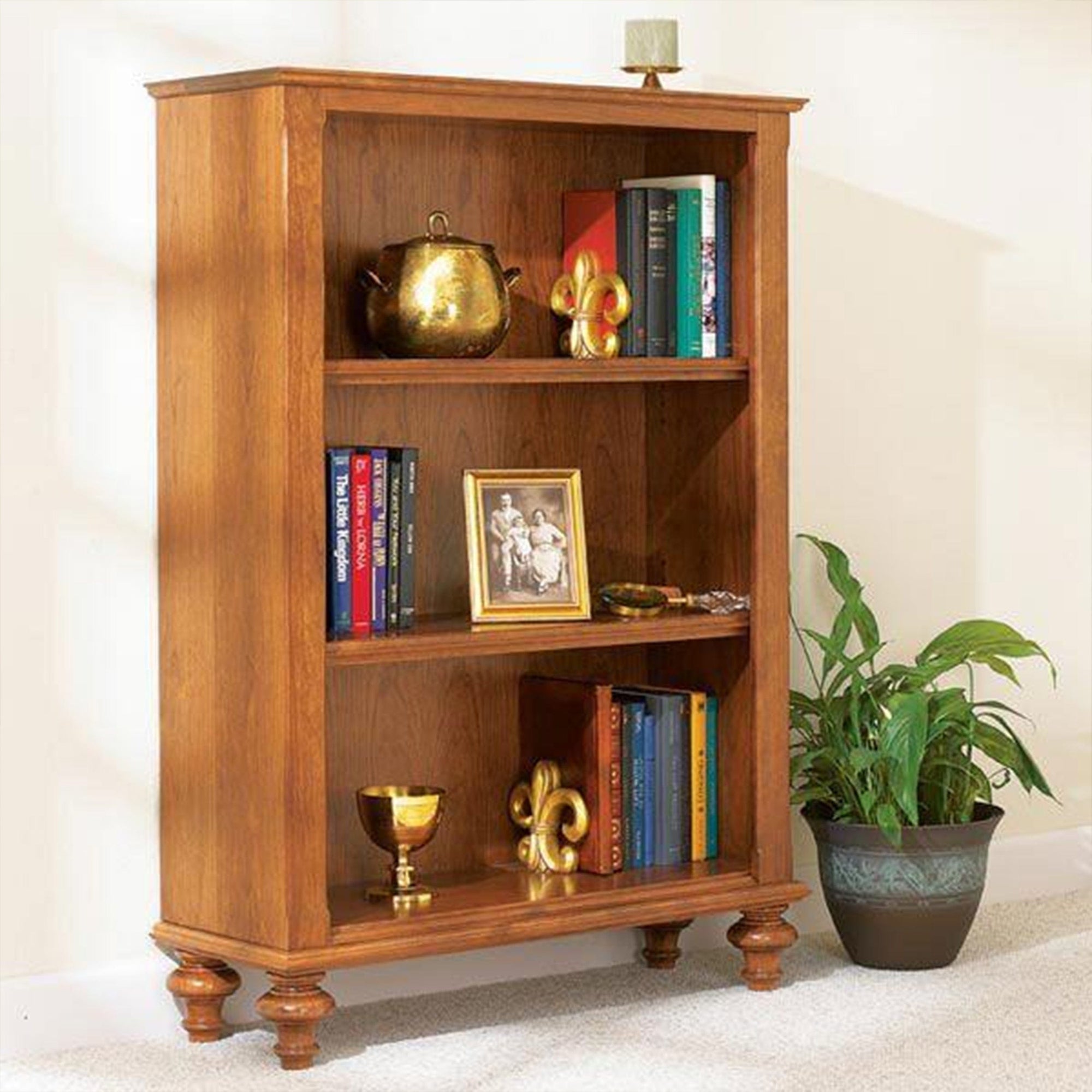 Downloadable Woodworking Project Plan to Build Build-in-a-Weekend Bookcase alt 0
