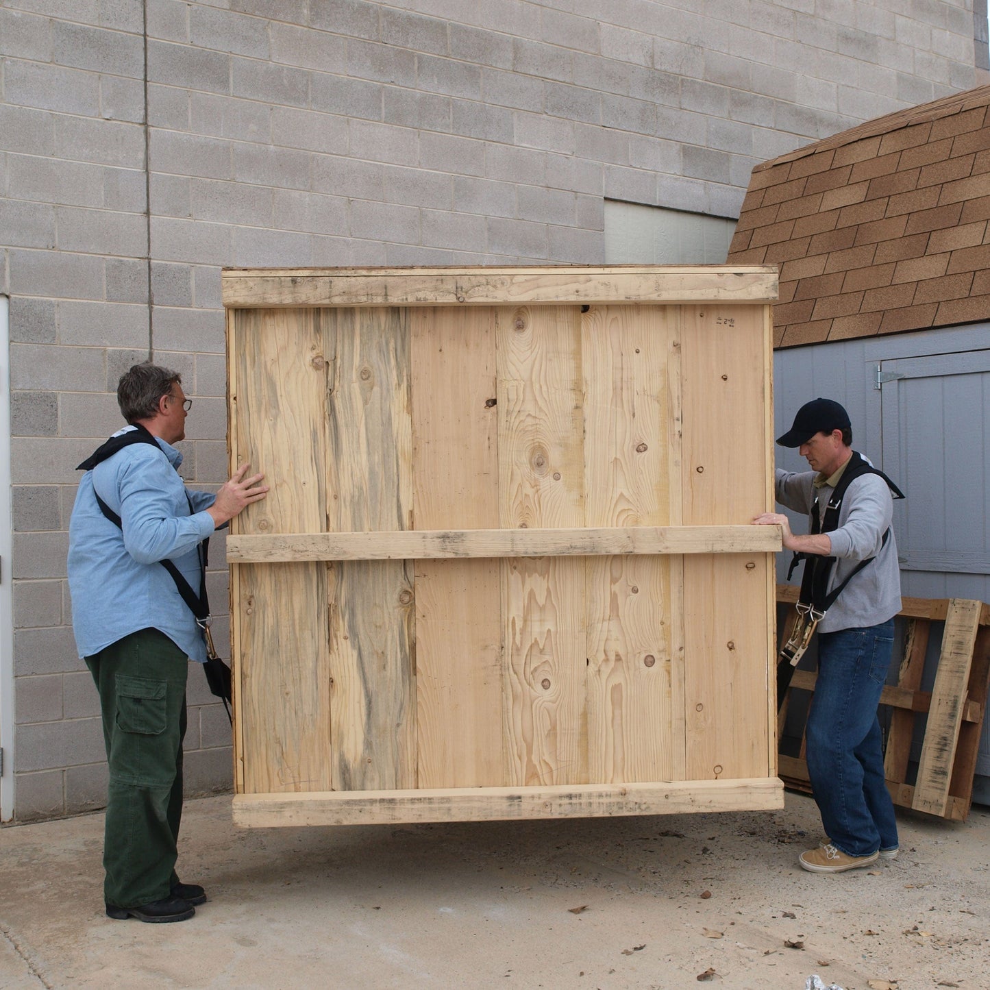 Pro Lift Professional Lifting and Moving Strap alt 0