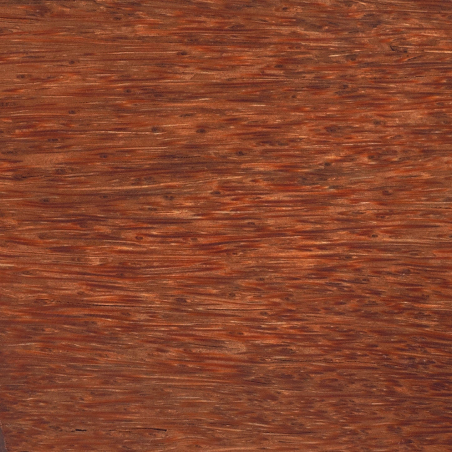 Palm Red 1.5x1.5x12 alt 0