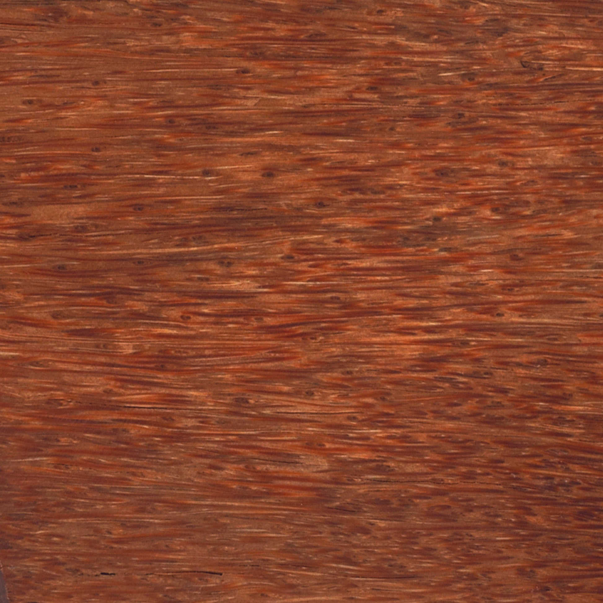 Palm Red 1.5x1.5x12 alt 0