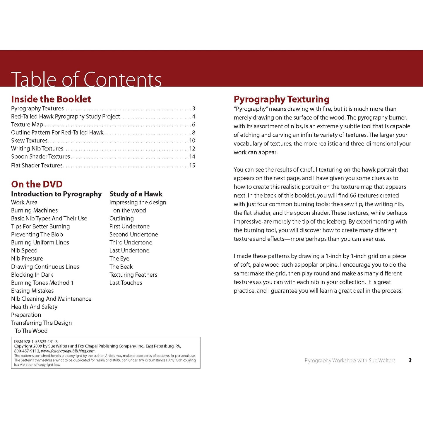 Pyrography Workshop with Sue Walters 2-DVD Set and Booklet alt 0