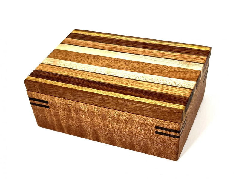 335_Beginner_Box.jpg