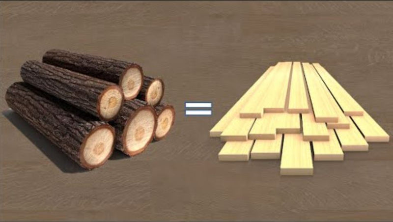 320_From_Logs_to_Lumber.jpg