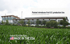 Festool Introduces First U.S. Production Line