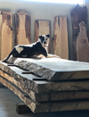 Urbn Timber: Preserving the Trees of Columbus One at a Time