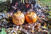 How to Make Wooden Pumpkins in Ten Easy Steps with Rex Kenyon