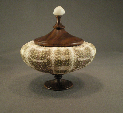 Sally Ault: Turning Wood into Many Shapes ... in a Lot of Places