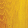 Woodsense: Spotlight on Osage-orange