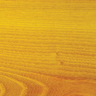 Woodsense: Osage Orange | Woodcraft