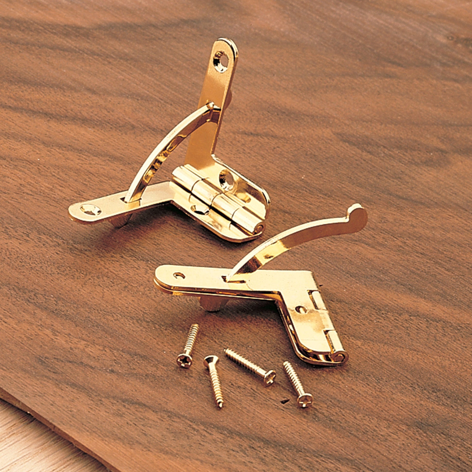 Economy Quadrant Hinge Pair alt 0