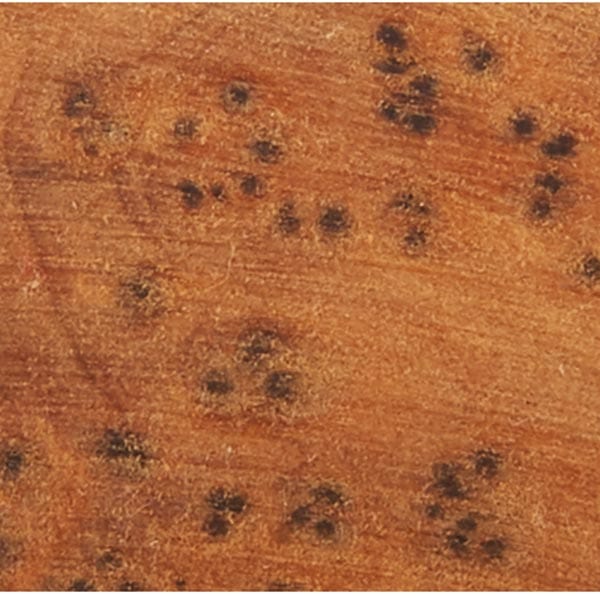 Thuya Burl 3/4x3/4x5 PB alt 1
