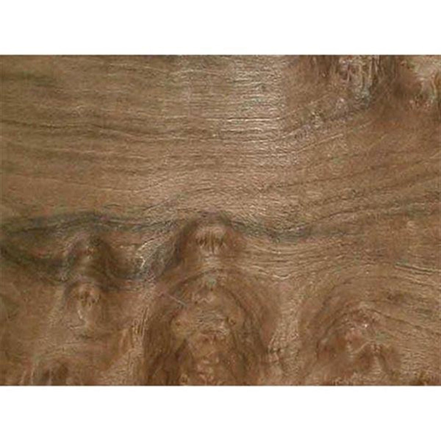 Walnut Burl VNR 3sqft alt 0