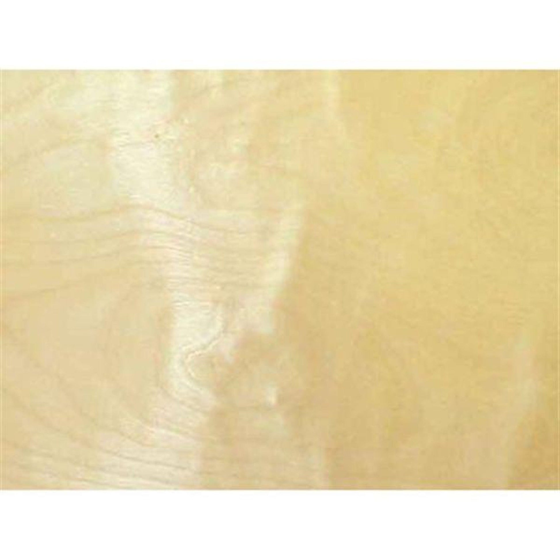 Birch VNR 12sqft alt 0