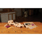 Deluxe Starter Carving Set w/ Free Relief Carving DVD - 21 Piece alt 0