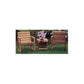 Woodworking Project Paper Plan to Build Deck Chair alt 0