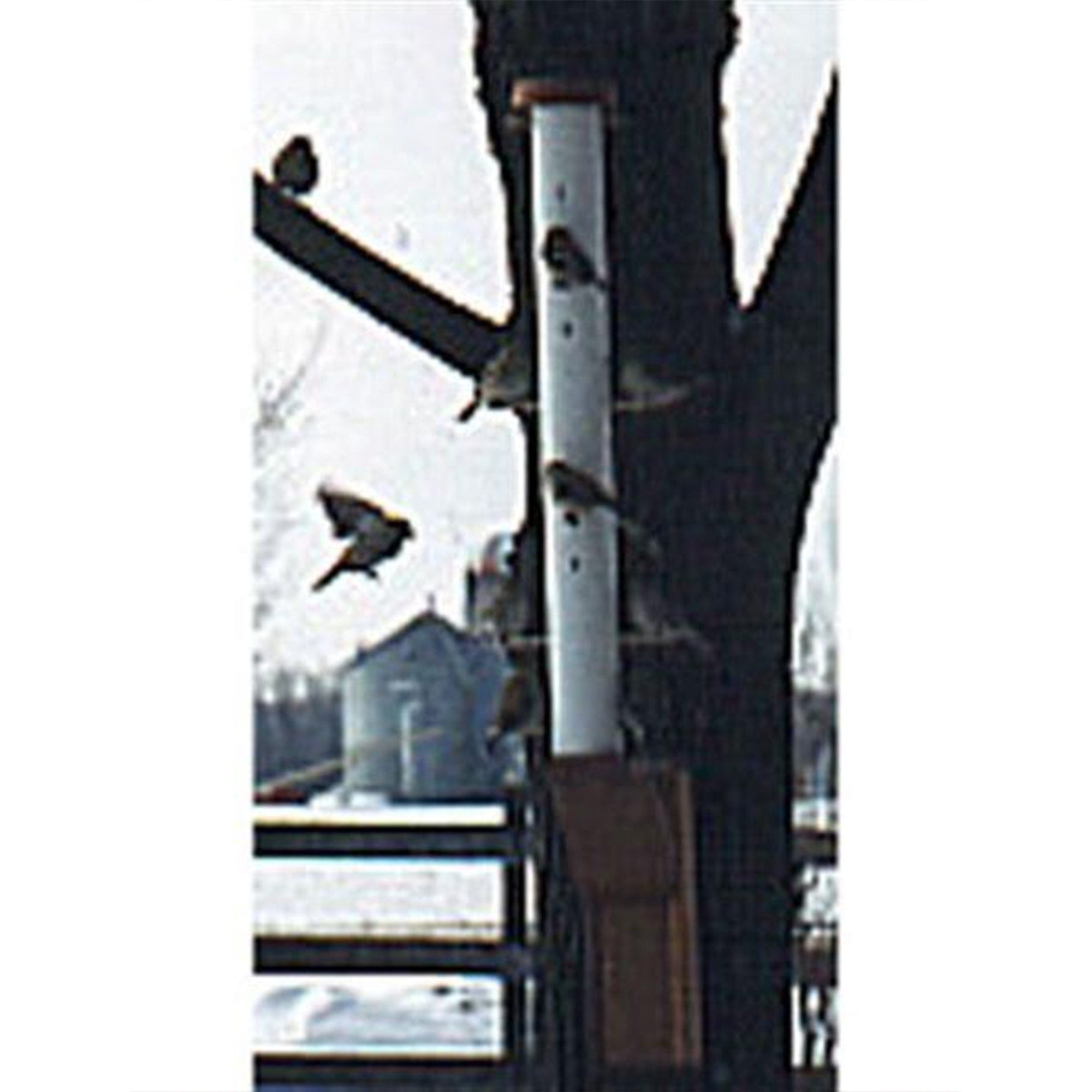 Woodworking Project Paper Plan to Build PVC Finch Feeder with Three Stands alt 0