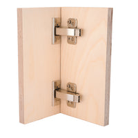 Clip Top Hinges for Frameless Cabinets - Full Overlay - 110 Degree with BLUMOTION - 1 Pair