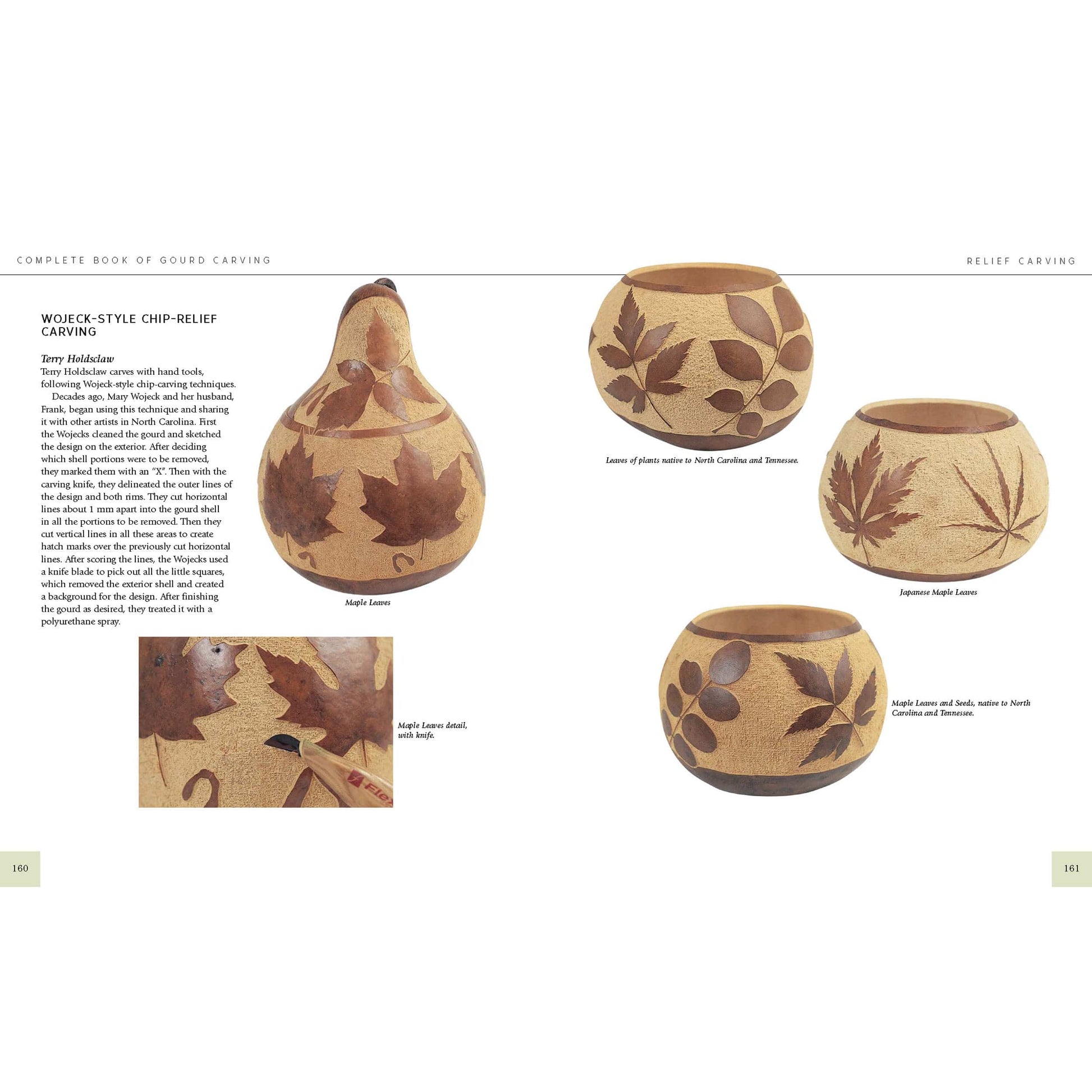 Complete Book of Gourd Carving, Revised and Expanded alt 0