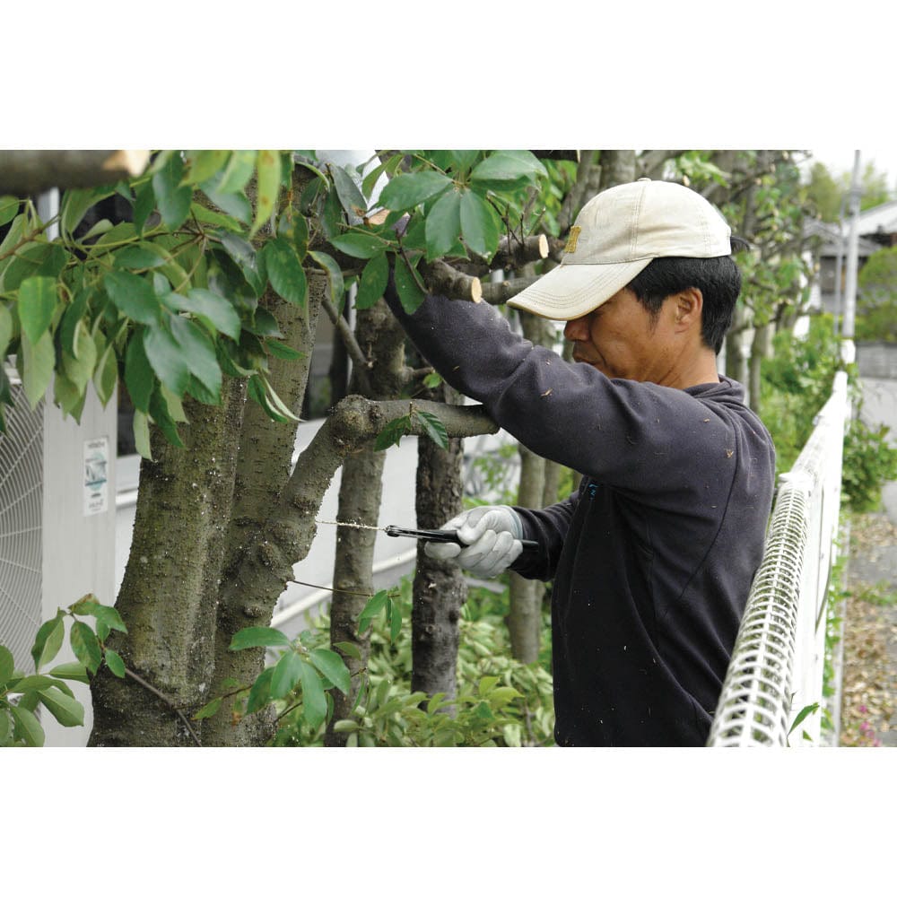 GOMBOY, 210mm Medium Teeth Model #121-21