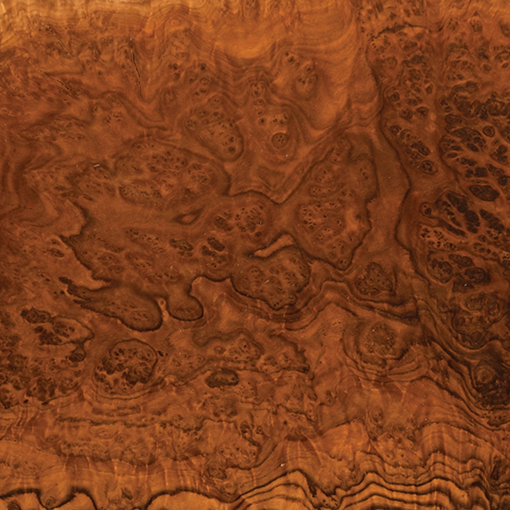 Australian Brown Mallee Burl Slice - 2 kg - 4 kg alt 0