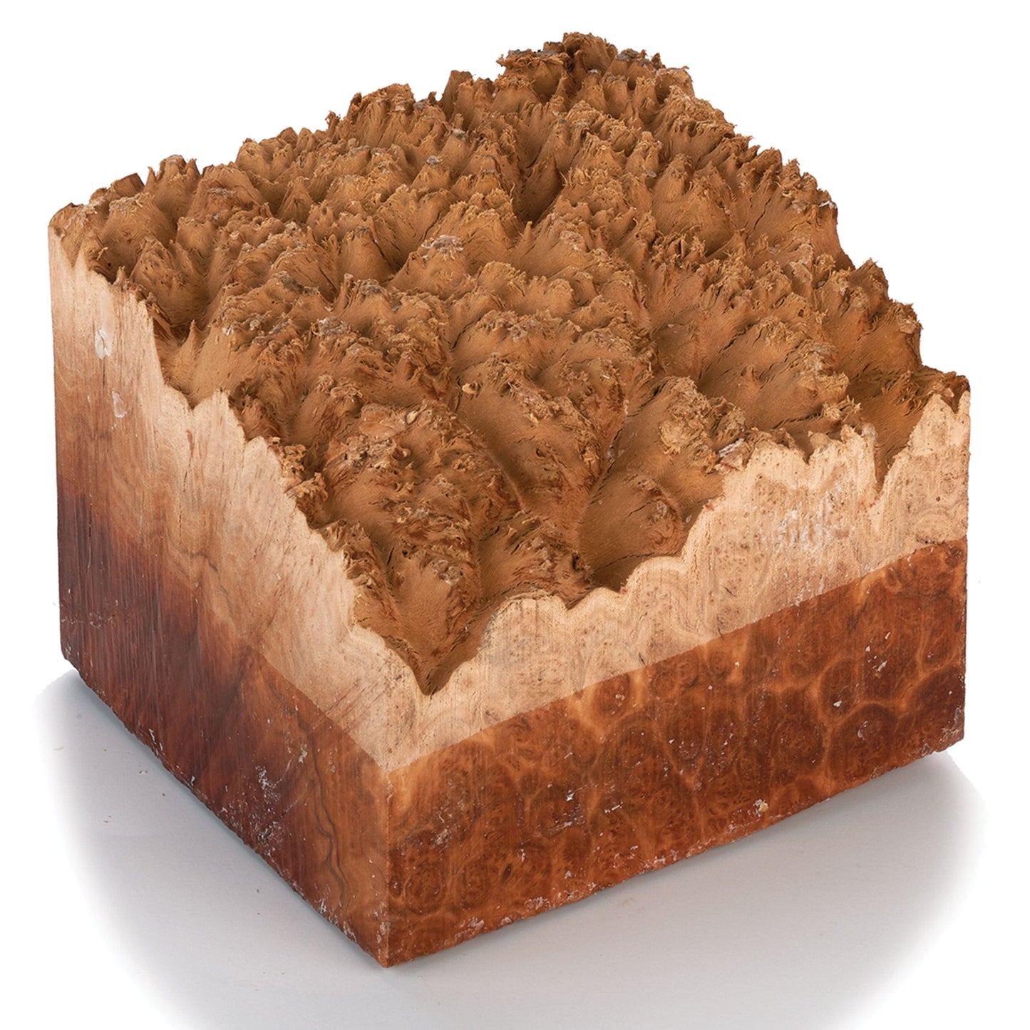 Australian Red Mallee Burl Turning Blank - 2 kg - 4 kg alt 0