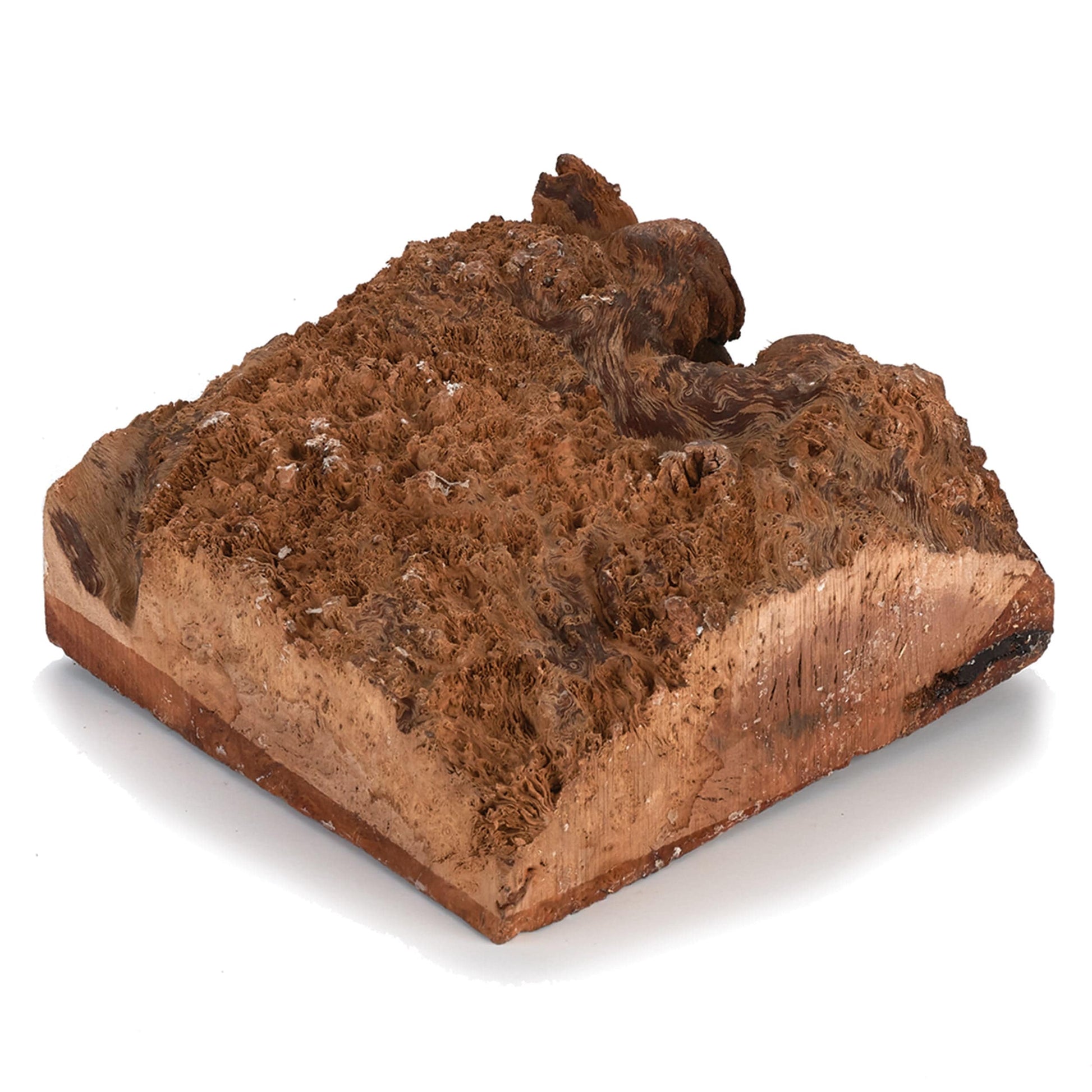 Australian Red Coolibah Burl Turning Blank - 1 kg - 2 kg alt 0