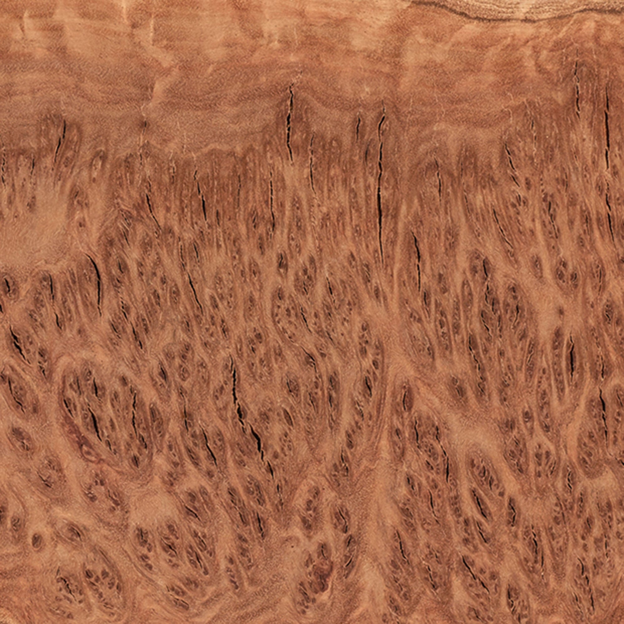 Australian Red Coolibah Burl Turning Blank - 1 kg - 2 kg alt 0