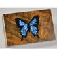 Mother of Pearl Inlay Material - Flake - 1 oz alt 0